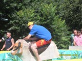 SDC10738