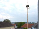 Maibaum StW 20 