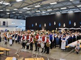 65J.MVO 4.6. -  084 