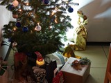 231208 WF (9)