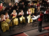 241109 Martinikonzert (42)