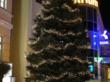 241224 Weihnachten (32)